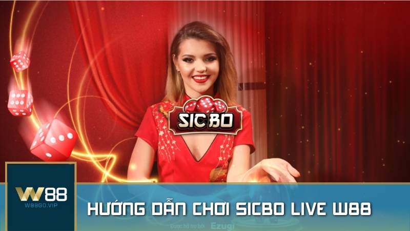 Sicbo Livestream: Mẹo chơi Sicbo Live W88 và thắng lớn bằng luật chơi cơ bản