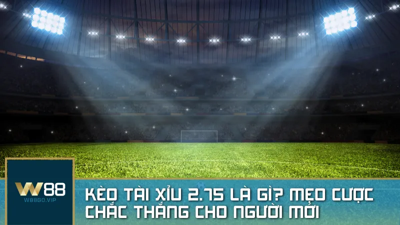 Kèo tài xỉu 2.75 là gì? Mẹo cược chắc thắng cho người mới tham gia cá độ