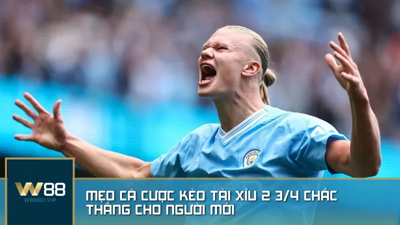 Mẹo cá cược kèo tài xỉu 2 3/4 chắc thắng cho người mới