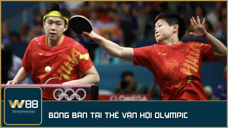 Giải bóng bàn tại Olympic – đấu trường danh giá nơi Trung Quốc khẳng định vị thế số 1 với hàng loạt huy chương vàng ấn tượng.