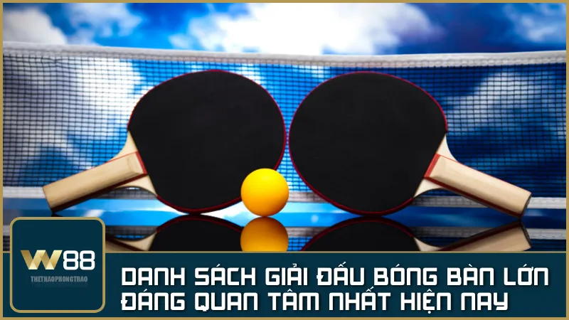 Danh sách giải đấu bóng bàn lớn đáng quan tâm nhất hiện nay