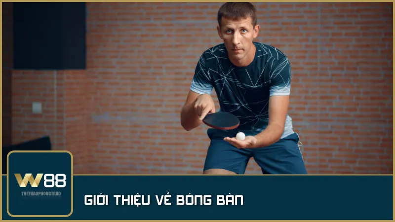 Bóng bàn – môn thể thao tốc độ và kỹ thuật, thu hút người chơi ở mọi lứa tuổi trên toàn thế giới.
