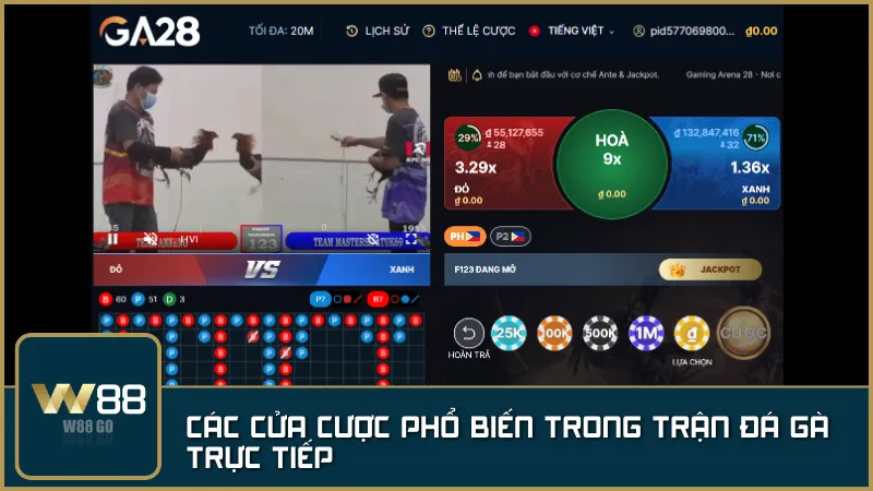 Lựa chọn cửa cược hợp lý là chìa khóa để chiến thắng tại Đá Gà W88