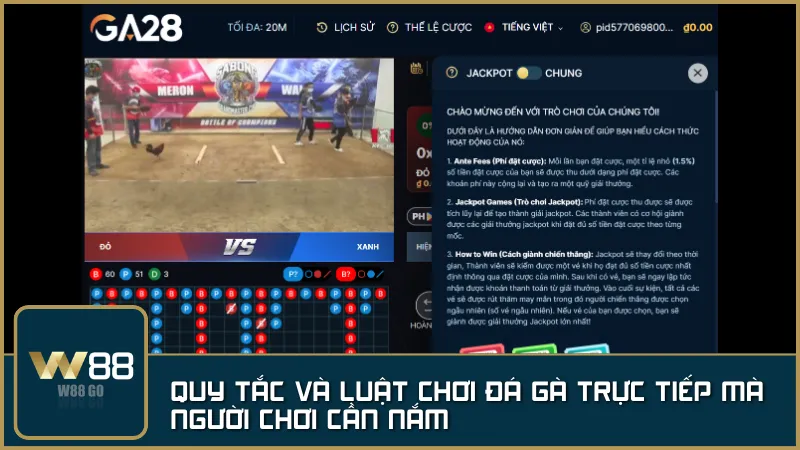 Hiểu luật chơi rõ ràng giúp tăng khả năng chiến thắng khi cá cược Đá Gà