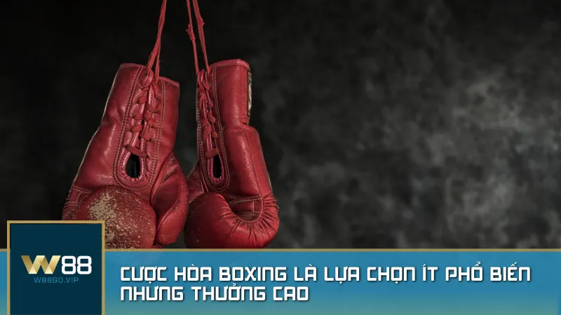 Cược hòa boxing là lựa chọn ít phổ biến nhưng thưởng cao